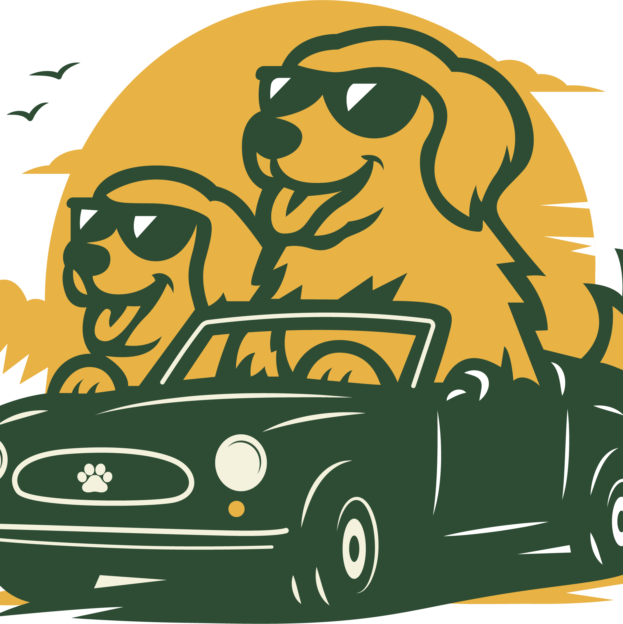 Born to Ride Collection