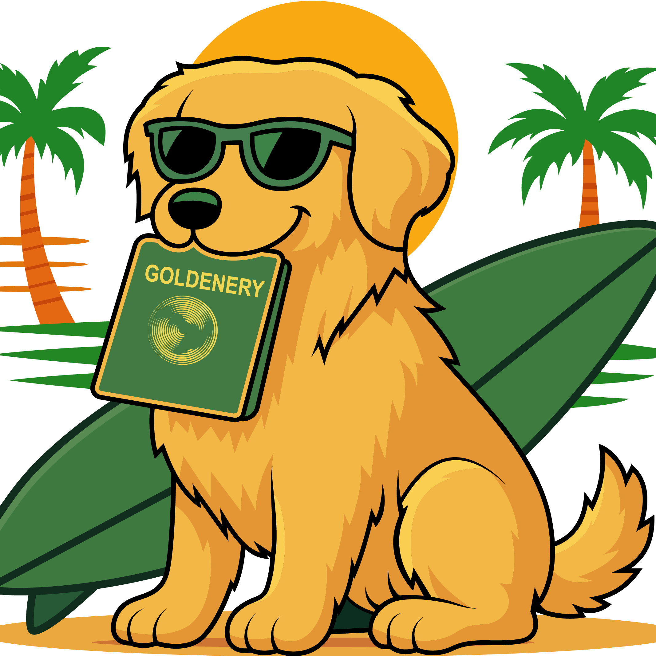 Surf Riders Collection