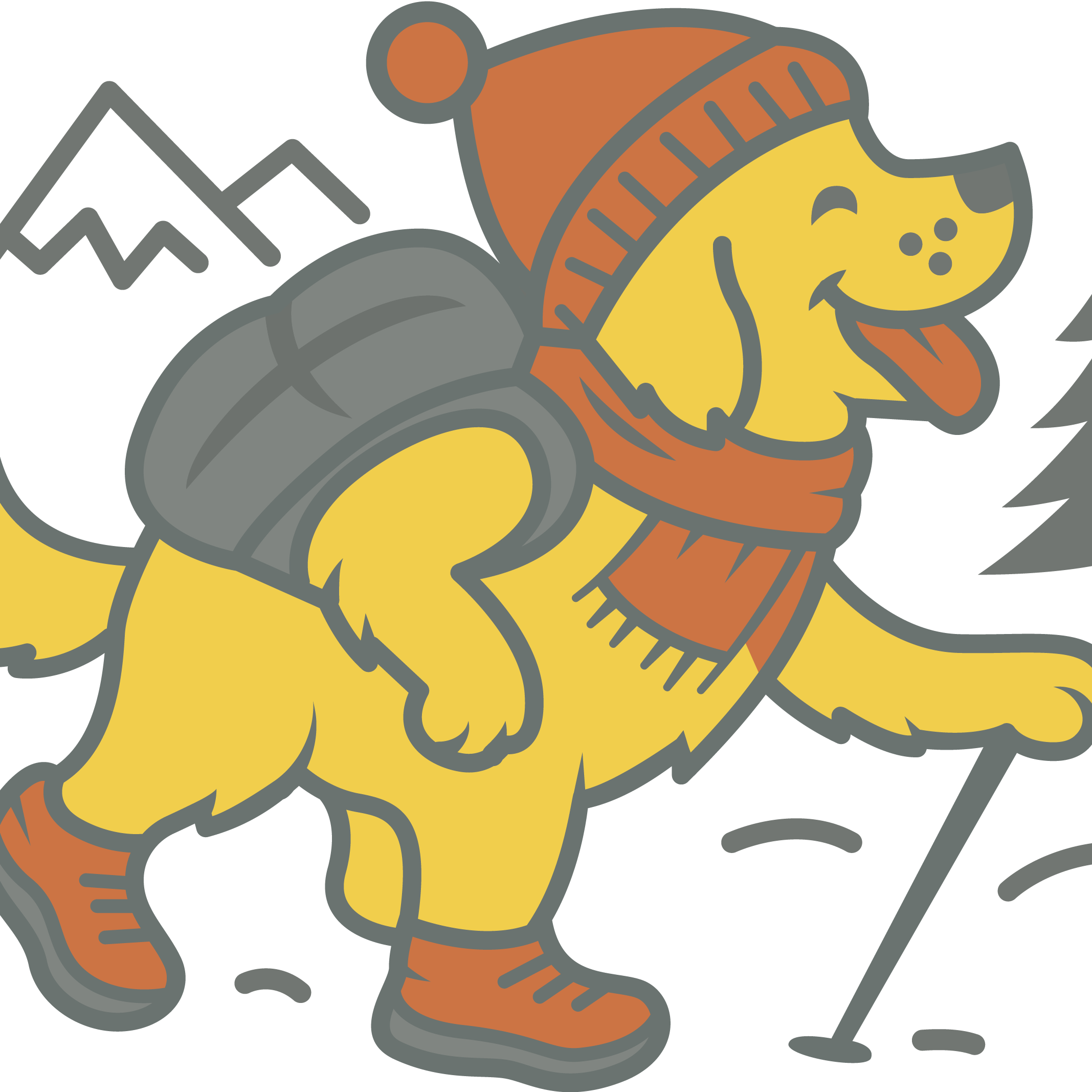 Winter Explorer Collection