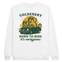 812c2976-79fa-433e-b04b-04011e30ff29