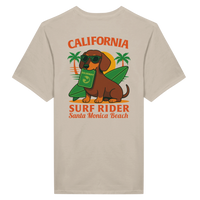 e00f4dc3-ed27-4953-a043-199572bf1dd0